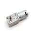 Worm Gearbox DC Geared Motor
