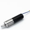 Planetary Gearbo BLDC Geared Motor